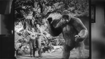 Backdrop to the movie "Mighty Joe Young" #1081721