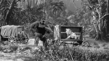 Backdrop to the movie "Mighty Joe Young" #1081722