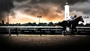 Backdrop to the movie "Secretariat" #863849