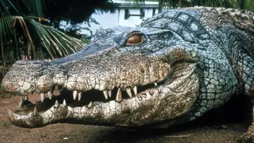 Backdrop to the movie "Crocodile 2: Death Roll" #437704