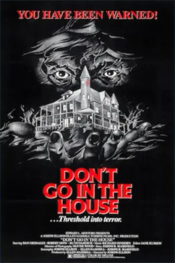 Poster to the movie "Don