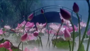 Backdrop to the movie "Green Snake" #903052