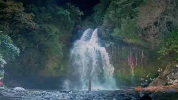 Backdrop to the movie "Green Snake" #903101