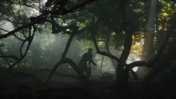 Backdrop to the movie "Annihilation" #618560