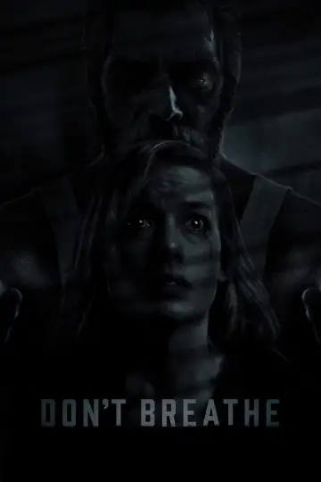 Poster to the movie "Don