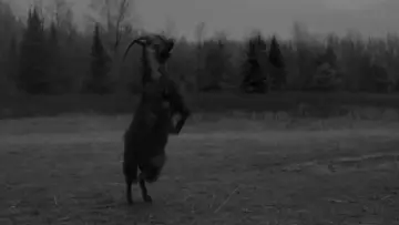 Backdrop to the movie "The Witch" #1198107