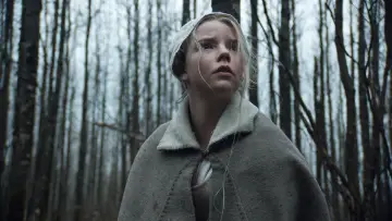 Backdrop to the movie "The Witch" #251866