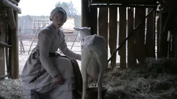 Backdrop to the movie "The Witch" #600159