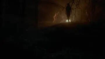 Backdrop to the movie "The Witch" #600179