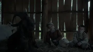 Backdrop to the movie "The Witch" #600186