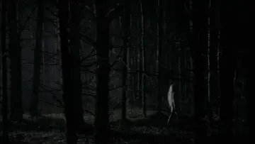Backdrop to the movie "The Witch" #600220