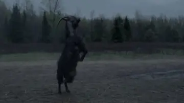 Backdrop to the movie "The Witch" #600226