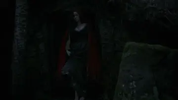 Backdrop to the movie "The Witch" #600248