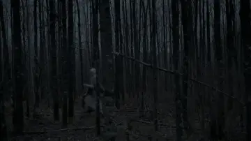 Backdrop to the movie "The Witch" #600252