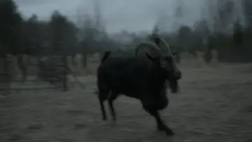 Backdrop to the movie "The Witch" #600289