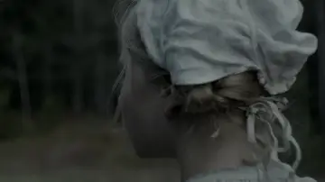 Backdrop to the movie "The Witch" #600291