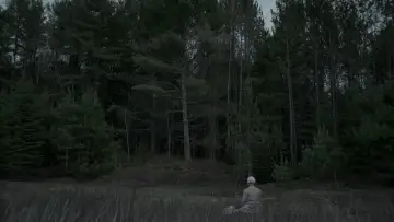Backdrop to the movie "The Witch" #600292