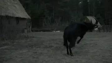 Backdrop to the movie "The Witch" #600295