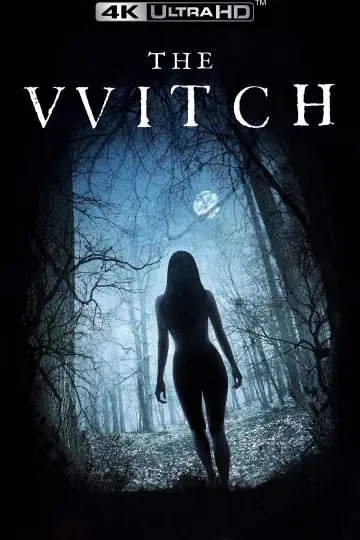 Poster to the movie "The Witch" #600328