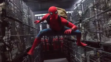 Backdrop to the movie "Spider-Man: Homecoming" #173191