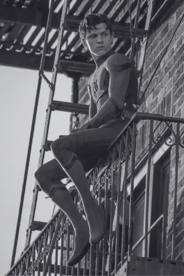 Poster to the movie "Spider-Man: Homecoming" #828961
