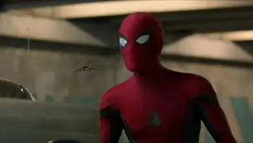 Backdrop to the movie "Spider-Man: Homecoming" #959063