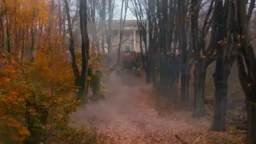 Backdrop to the movie "The Greatest Showman" #580215
