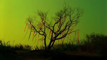 Backdrop to the movie "Imprint" #937716
