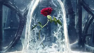 Backdrop to the movie "Beauty and the Beast" #169947