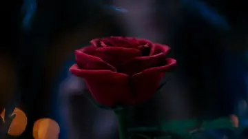 Backdrop to the movie "Beauty and the Beast" #748513