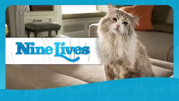 Backdrop to the movie "Nine Lives" #1028531