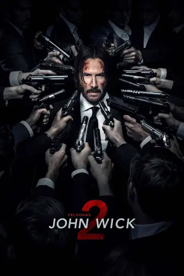 Poster to the movie "John Wick: Chapter 2" #585472