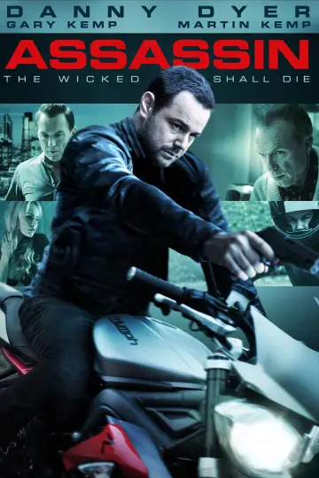 Poster to the movie "Assassin" #1135669