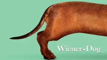 Backdrop to the movie "Wiener-Dog" #1102881