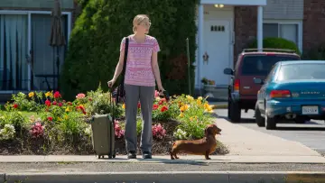 Backdrop to the movie "Wiener-Dog" #1102884