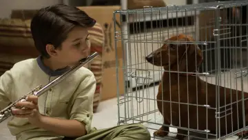 Backdrop to the movie "Wiener-Dog" #1102885