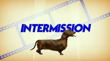 Backdrop to the movie "Wiener-Dog" #1102901
