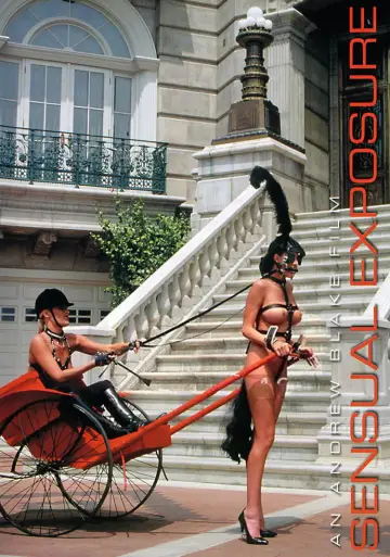 Poster to the movie "Sensual Exposure" #1118999