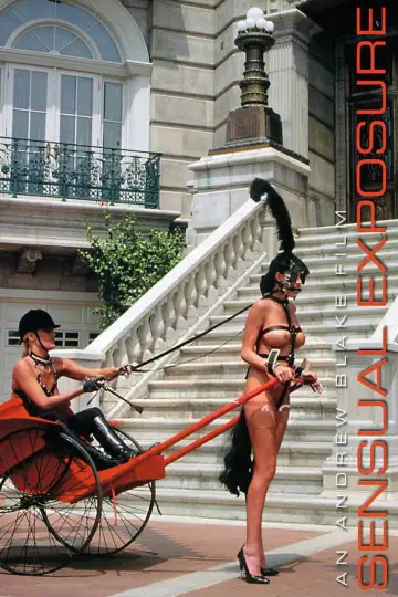 Poster to the movie "Sensual Exposure" #1119000