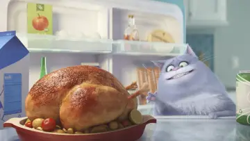 Backdrop to the movie "The Secret Life of Pets" #293685
