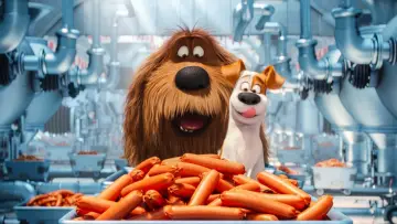 Backdrop to the movie "The Secret Life of Pets" #293696