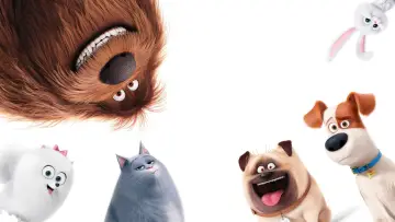 Backdrop to the movie "The Secret Life of Pets" #787671