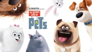 Backdrop to the movie "The Secret Life of Pets" #787674