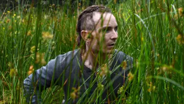 Backdrop to the movie "The Survivalist" #919157