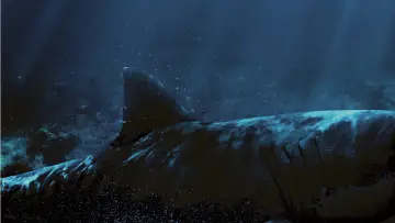 Backdrop to the movie "The Shallows" #1198739
