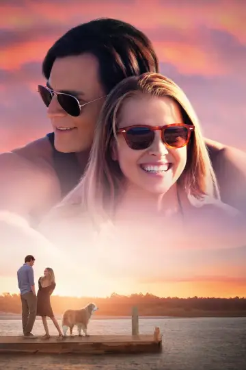 Poster to the movie "The Choice" #234580