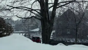 Backdrop to the movie "Manchester by the Sea" #916884