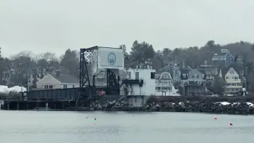 Backdrop to the movie "Manchester by the Sea" #916886
