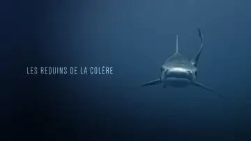 Backdrop to the movie "Les Requins de la Colère" #1432679