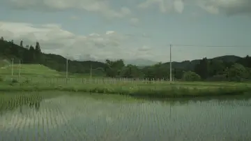 Backdrop to the movie "Little Forest: Winter/Spring" #1149319